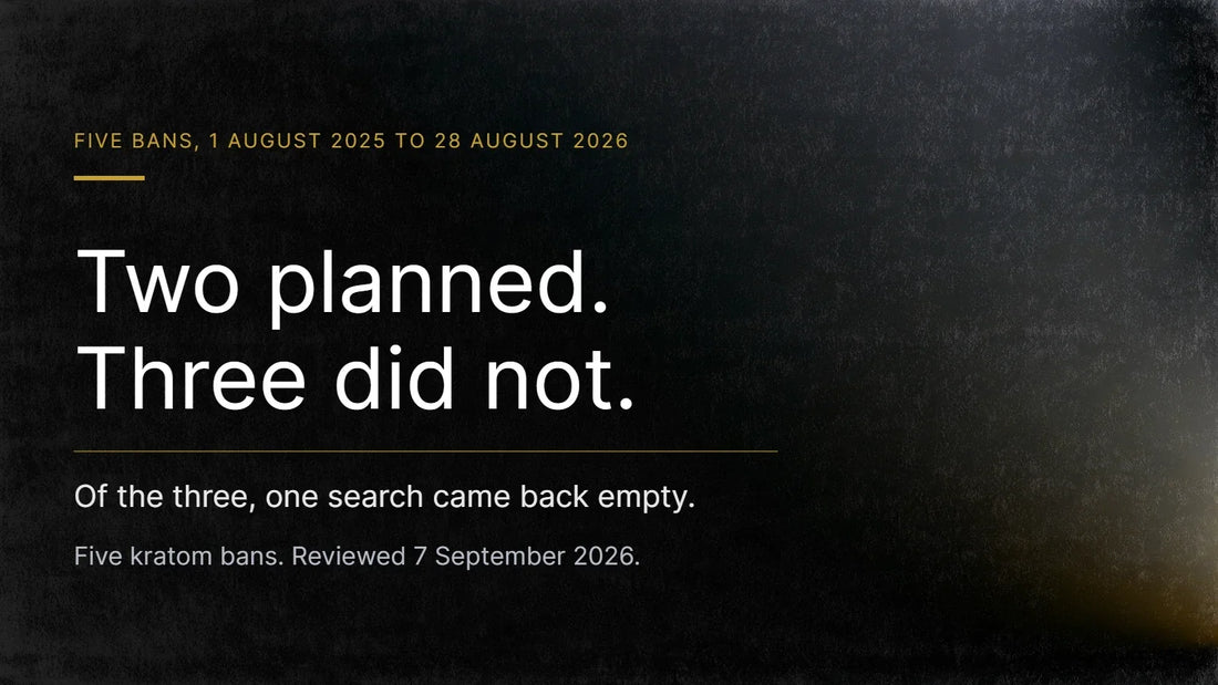 Dark typographic title card. Gold kicker reads Five bans, 1 August 2025 to 28 August 2026, above the headline Two planned. Three did not., a gold rule, then Of the three, one search came back empty. Reviewed 7 September 2026.
