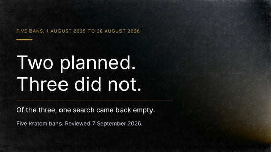 Dark typographic title card. Gold kicker reads Five bans, 1 August 2025 to 28 August 2026, above the headline Two planned. Three did not., a gold rule, then Of the three, one search came back empty. Reviewed 7 September 2026.